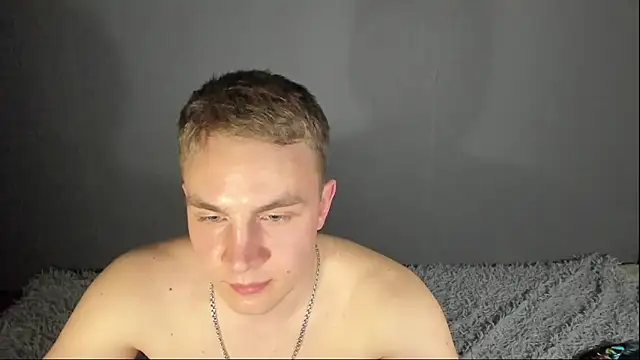 Show webcam de avrions