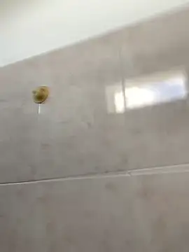 Val12777 现场XXX聊天