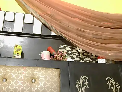 Stubborndesiboy: διαδικτυακό σόου στην κάμερα