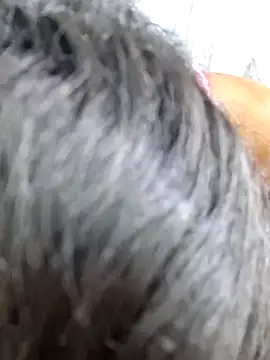 Chatroom XXX en direct de Cataleya_ja