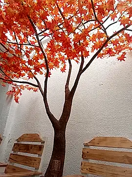 Chatroom XXX en direct de Dante_Knox