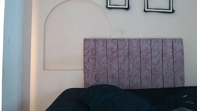 FerneyMantiのウェブカメラショー