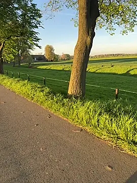 Chat +18 de AmjadAlpha ao vivo