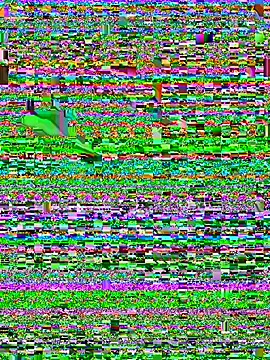 Chat XXX ao vivo de franci_22