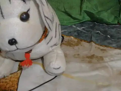 Stubborndesiboy Adlı Modelin Canlı XXX Sohbeti