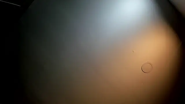 TedyX99 লাইভ XXX চ্যাট