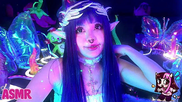 LaytonBox 网络视讯表演