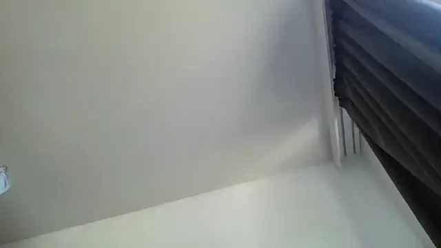 Show webcam de LivelyArray455