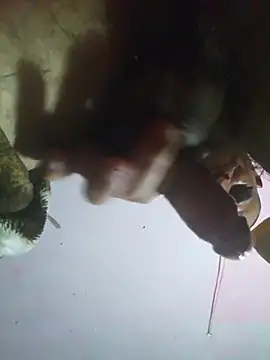 cobrosdepagos' Live XXX Chat