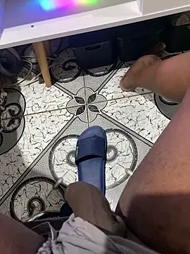 Negoo20cm99384 Webcam show