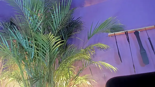 แชท XXX สดของ isa_kiss