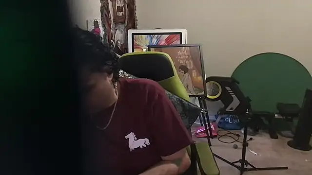 Show Webcam de KungFuPanda001