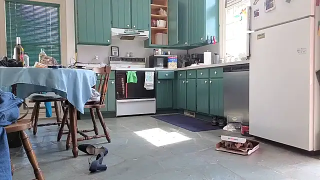 CDforU Pertunjukan Webcam