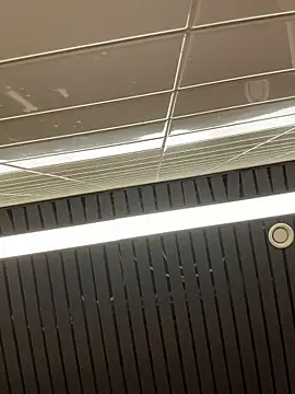 Sunny___Bunny Live XXX-Chat