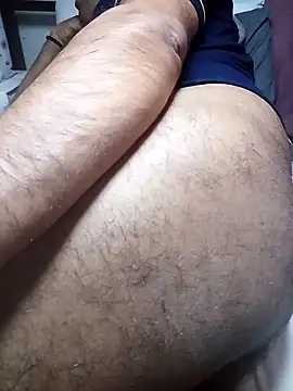 SADDLECOCK Webcam show