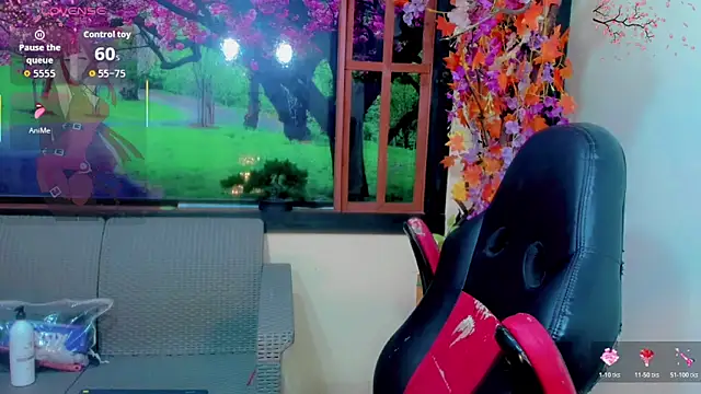 Karol_Vanessa__n Webbikameraesitys