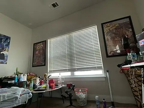 4EVAGLACIERS 在線直播表演