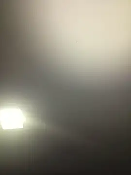 piggylatino: вебкам-шоу