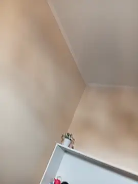 Byalexander2020 webkamerás műsora