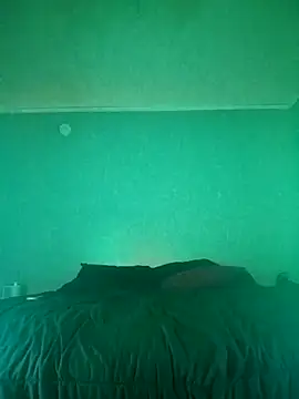 T92bbc webkamerás műsora