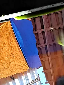 xxxbananaboy Show in webcam