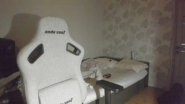 Knuckles17のウェブカメラショー