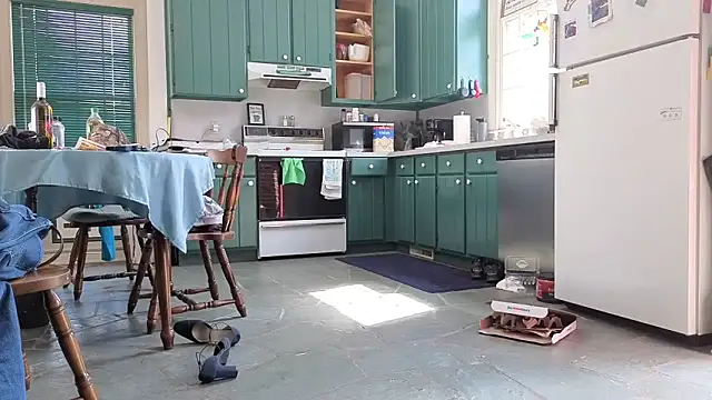 CDforU ওয়েবক্যাম শো