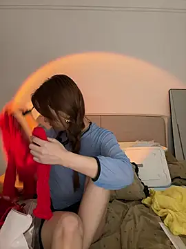 ReiningAffairen Webbikameraesitys