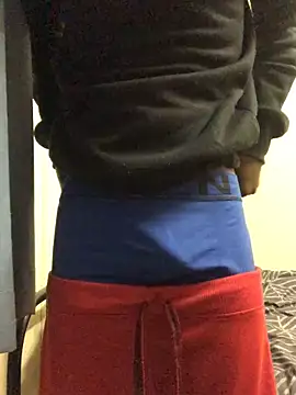 Simplejitaのウェブカメラショー