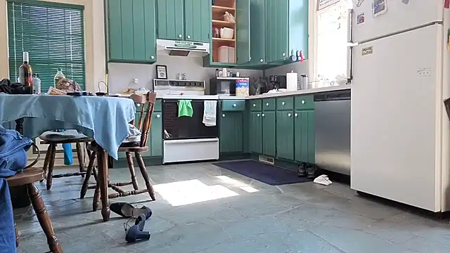 CDforUのウェブカメラショー