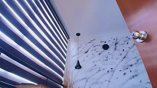 Max_Hornye's Webcam Show