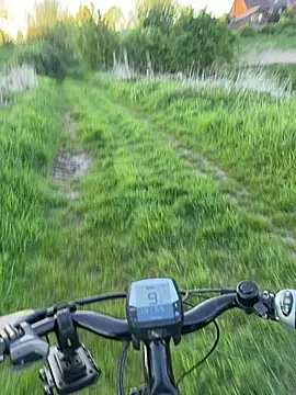 Chatroom XXX en direct de AmjadAlpha