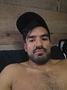 Show de webcam de piggylatino