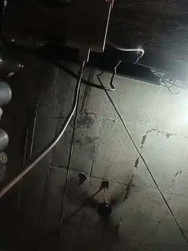 Webkamerová show hd_bhabhi