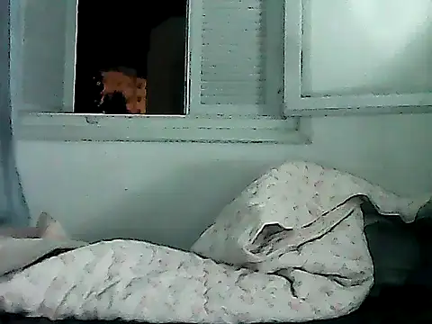 عرض كام zebbi29GguyTn