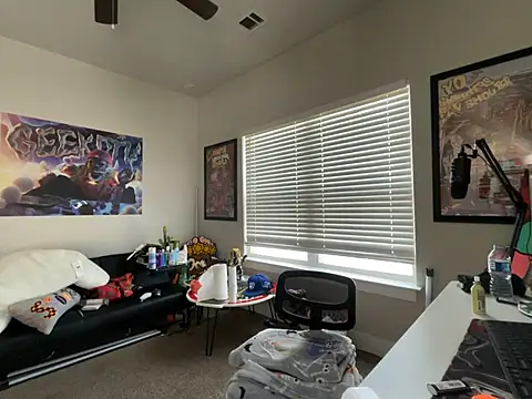 4EVAGLACIERS Webcam show