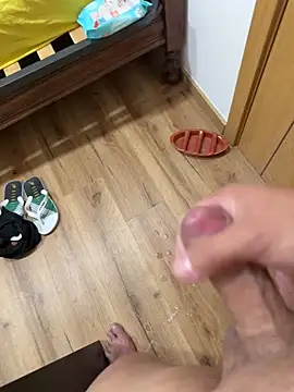 Vieira963n Webbikameraesitys