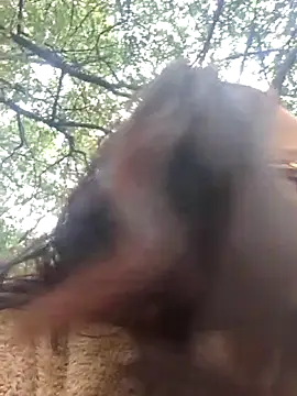 amanne_misaのライブXXXチャット