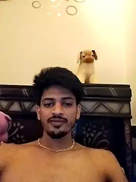 Chat XXX Live Wild_Vassu