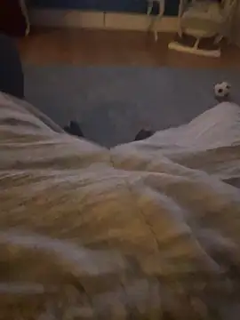 Pokazy przed kamerką – Hamsterdich