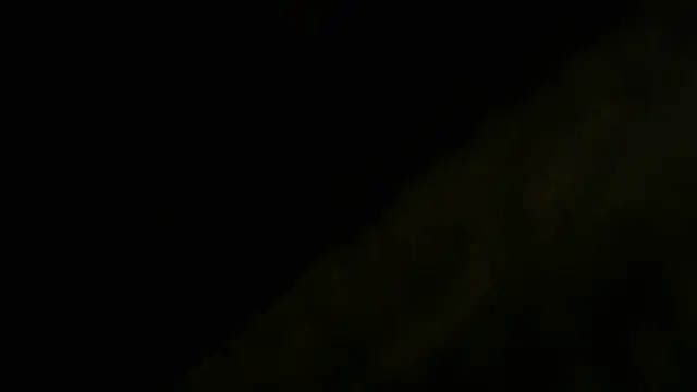 crassanova élő XXX-chatje