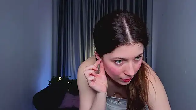 Show Webcam de LiuYani