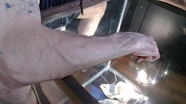 Show Webcam de EspanolVato