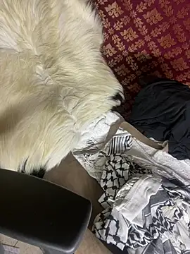 Chat XXX Live coacharabian