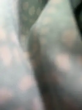 makemestayhard Show Webcam