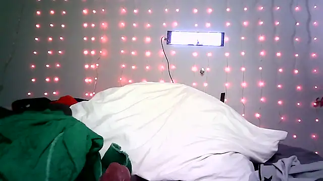 Show Webcam de deepinnnnn