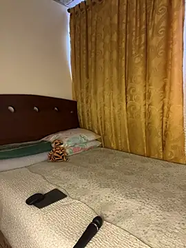 Saipuer31のウェブカメラショー