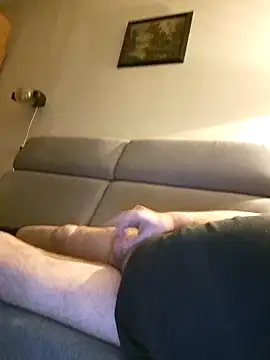 petvaradn Webbikameraesitys