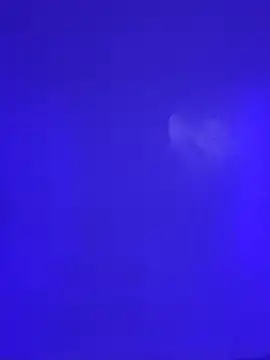 HollyPeach Live XXX-chat