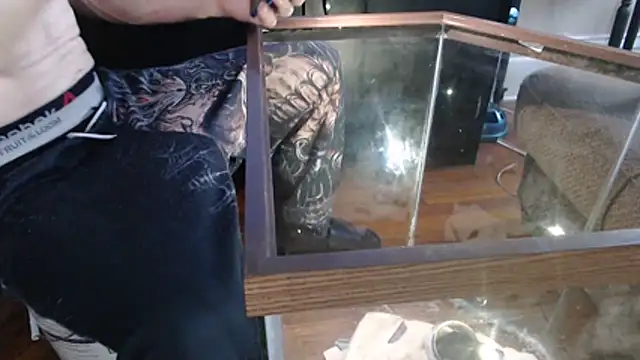 Chatroom XXX en direct de EspanolVato